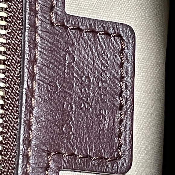 Louis Vuitton Cerise Mini Monogram Josephine PM - Picture 9 of 16